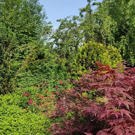 Apartment Appartementhaus Rosengarten - A4 *