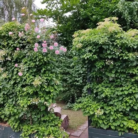 Apartment Appartementhaus Rosengarten - A4 *