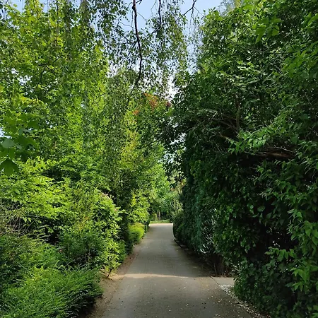 דירה Appartementhaus Rosengarten - A4 *